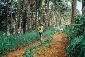 BIB: 
                            <button type="button" onclick="openModal(25751283)" class="btn btn-primary btn-sm float-right btn-popup" data-toggle="modal" data-target=".modal-high-quality">
                        <i class="fas fa-shopping-cart"></i> Add to Cart
                    </button>
                                            <button type="button" onclick="isThisMe(25751283, true)" class="btn btn-success btn-sm float-right btn-popup btn-isme hidden" data-toggle="tooltip" data-placement="bottom" title="นี่คือรูปของคุณใช่ไหม คลิกที่นี่เพื่อเอาเข้าอัลบั้ม">
                        <i class="fas fa-plus"></i> Add to album
                    </button>
                    <button type="button" onclick="isThisMe(25751283, false)" class="btn btn-warning btn-sm float-right btn-popup btn-isnotme hidden">
                        <i class="fas fa-ban"></i> Remove from album
                    </button>